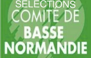 Sélection des interclubs en division 2, 3 et 4