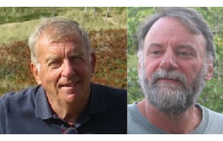 Finale de ligue open par 2 expert