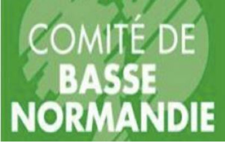 Finale de comité mixte par 4 expert